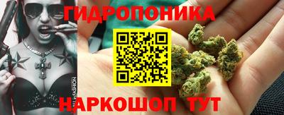 спиды Можга