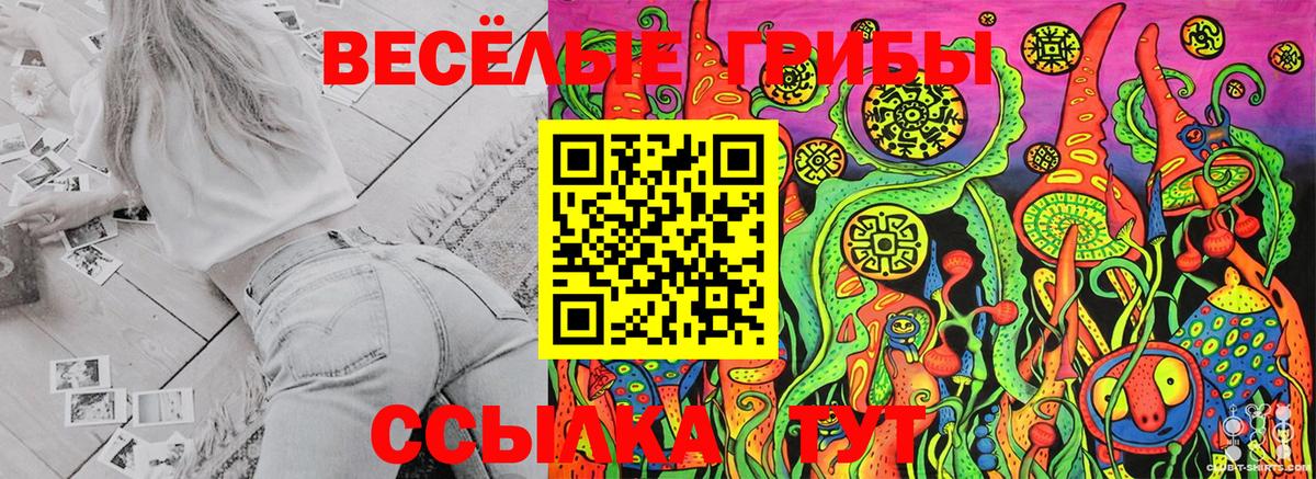 Псилоцибиновые грибы Psilocybe  Псилоцибиновые грибы Psilocybe  Вход с VPN  Бугуруслан 